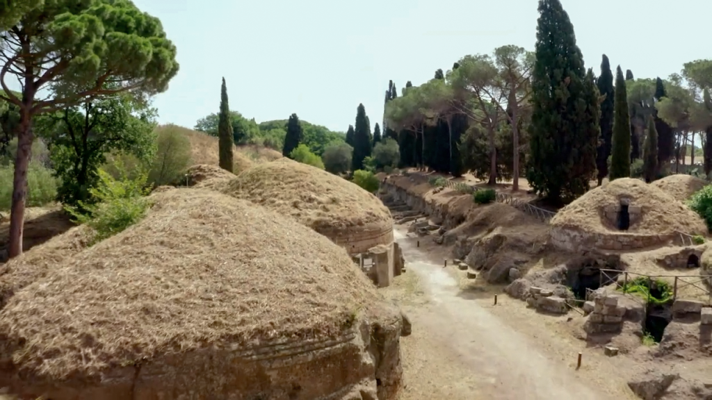 videoplayback.00_02_27_15.Immagine003