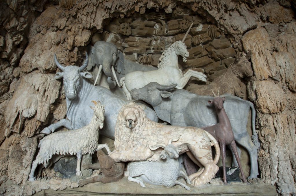 Grotta degli Animali _Elefante_CastelloFI